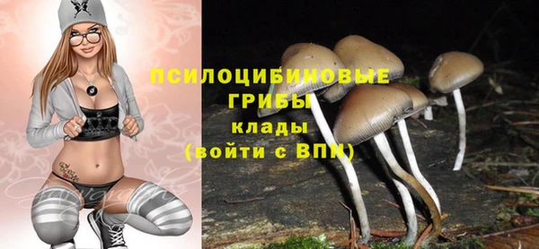 МДМА Новодвинск