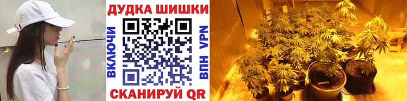shop формула  Чапаевск  Бошки марихуана гибрид 